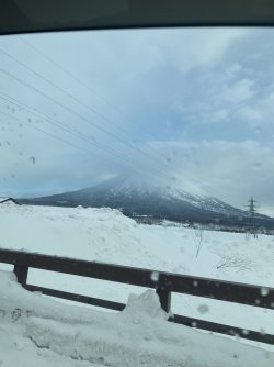 IMG_8676.JPEG