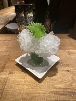 IMG_8681.JPEG