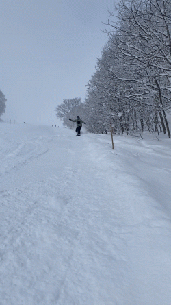 IMG_8721-ezgif.com-video-to-gif-converter.gif