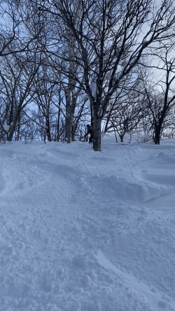 IMG_0704-ezgif.com-video-to-gif-converter.gif