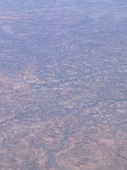 IMG_7717.jpeg