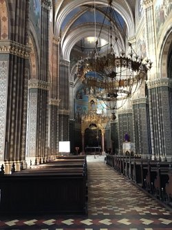 IMG_7638.jpeg