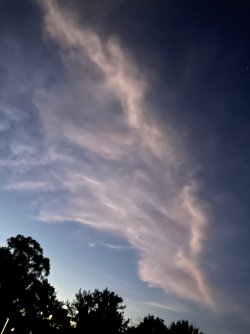 IMG_7865.jpeg