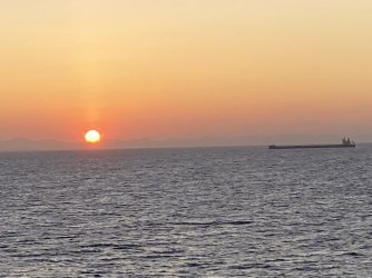 IMG_7969.jpg