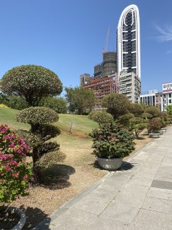 IMG_8015.jpg