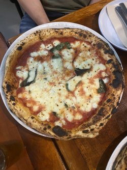 IMG_5366.jpeg