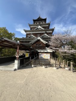 IMG_3799.jpeg