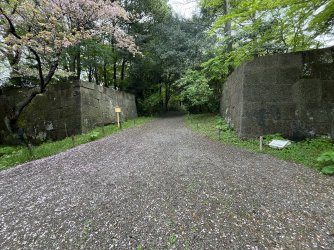 IMG_4219.jpeg