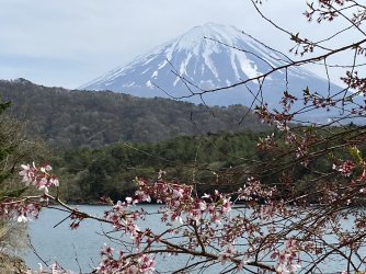 IMG_9018.jpeg
