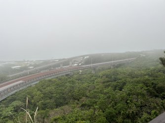 IMG_4904.jpeg