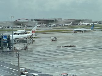 IMG_9115.jpeg