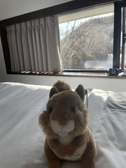 IMG_5750.jpeg