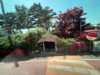IMG_5664.jpeg