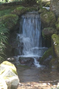 DSC04382.JPG