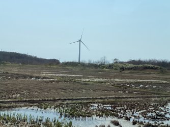 IMG_8607.jpg