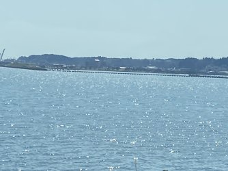 IMG_8610.jpg