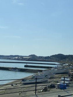 IMG_8612.jpg