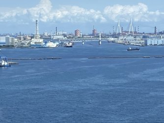 IMG_8762.jpg