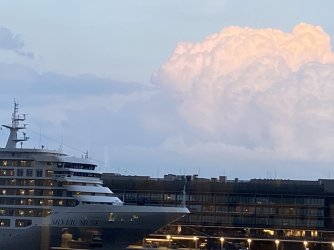 IMG_8788.jpg