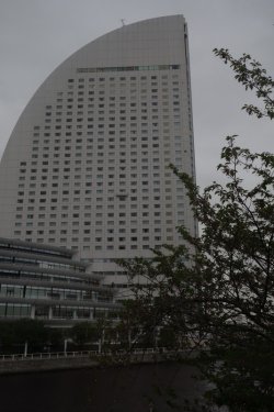 DSC05058.JPG