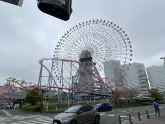 IMG_8825.jpg