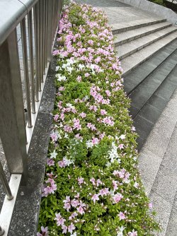 IMG_8828.jpg
