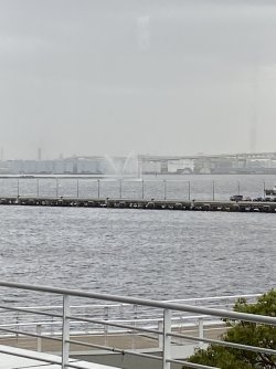 IMG_8834.jpg