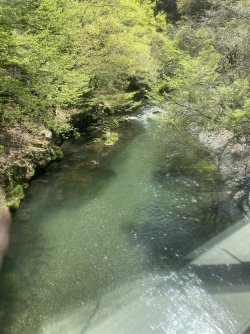 IMG_8895.jpg