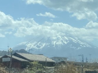 IMG_8909.jpg