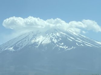 IMG_8933.jpg