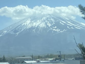 IMG_8935.jpg