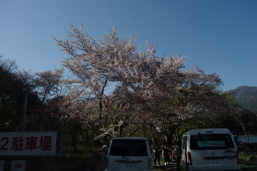DSC05092.JPG
