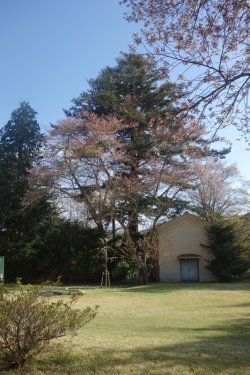 DSC05145.JPG