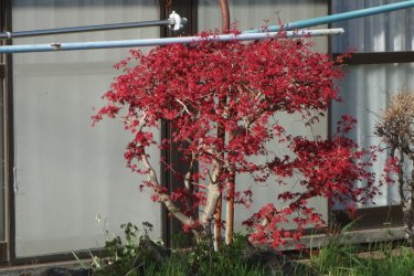 DSC05171.JPG