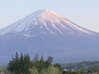 IMG_8969.jpg
