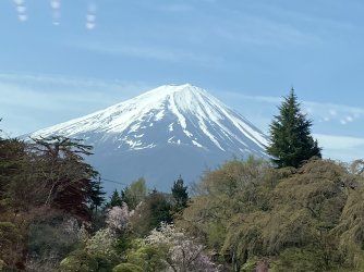 IMG_8979.jpg