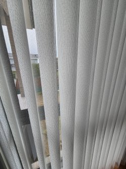 20240518_132913.jpg