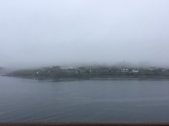 IMG_0513.jpeg
