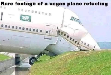 1716599591330.png