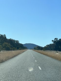 IMG_9980.jpeg