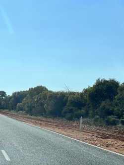 IMG_9978.jpeg