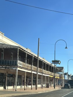 IMG_9985.jpeg