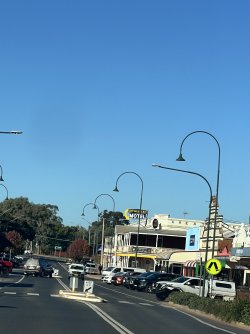 IMG_9988.jpeg