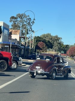 IMG_9990.jpeg