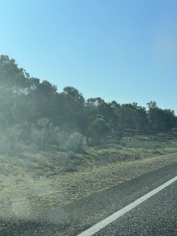 IMG_9997.jpeg