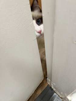 IMG_0040.jpeg