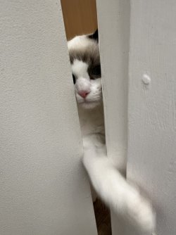 IMG_0041.jpeg