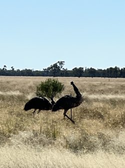 IMG_0056.jpeg