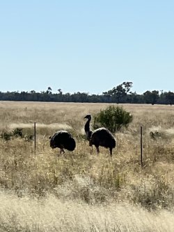 IMG_0057.jpeg