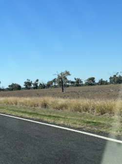 IMG_0059.jpeg